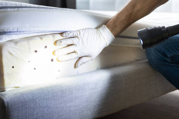 Best Pest Prevention Services  in Centerville, IN