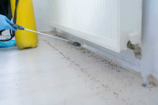 Best Flea Control Services  in Centerville, IN